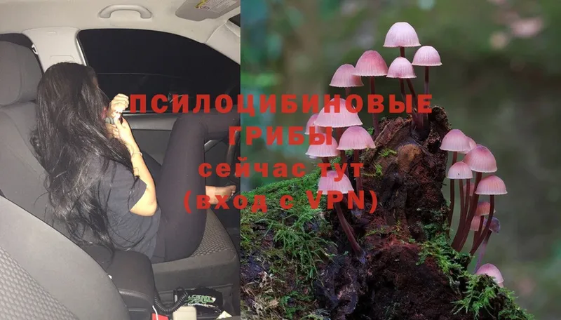 Галлюциногенные грибы Magic Shrooms  Верхняя Тура 